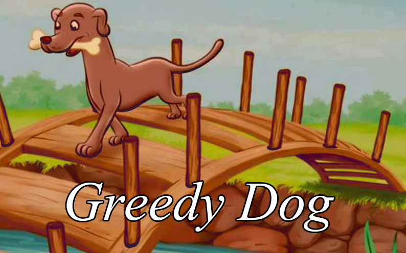 greedy dog