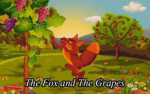 The Fox and The Grapes Story in English