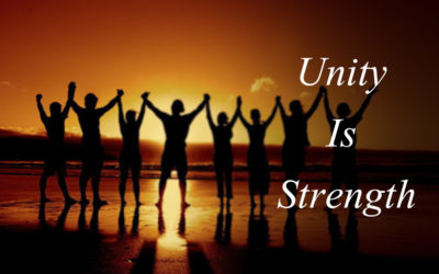 Unity is Strength Story in Hindi | एकता में बल है