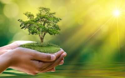 पर्यावरण पर निबंध Essay on Environment in Hindi