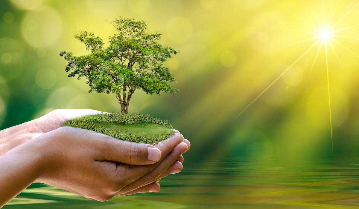 an essay on environment hindi