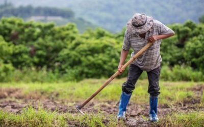 भारतीय किसान पर निबंध | Indian Farmer Essay in Hindi