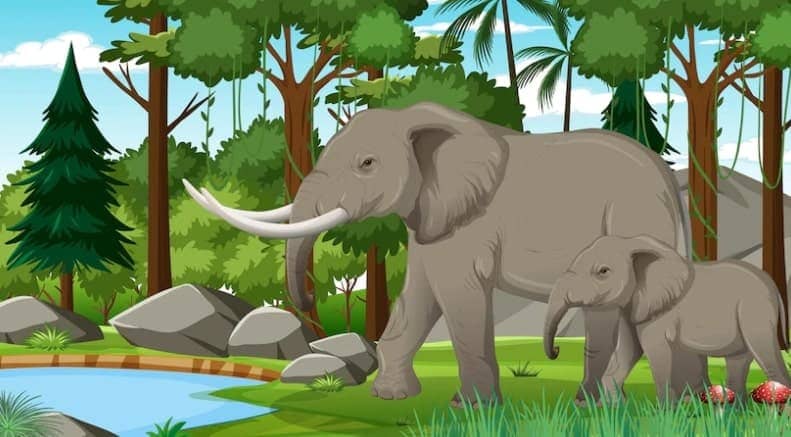Elephant Essay in Hindi